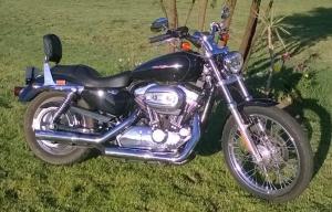 Harley Davidson XL 1200 Custom and Davis Trailer Cheetah 12 for sale